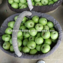 Chinese green gala apple